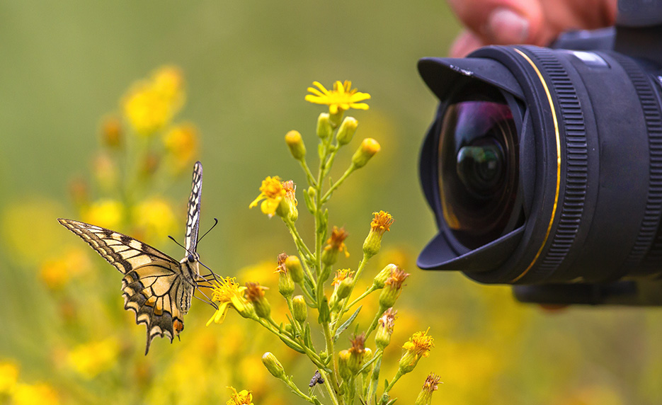 nature photography classes