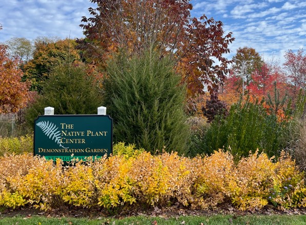 Lady Bird Johnson Demo Garden in fall 2022 by Jim Irvine resize 2